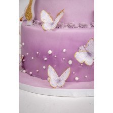 Bolo Princesa das Borboletas