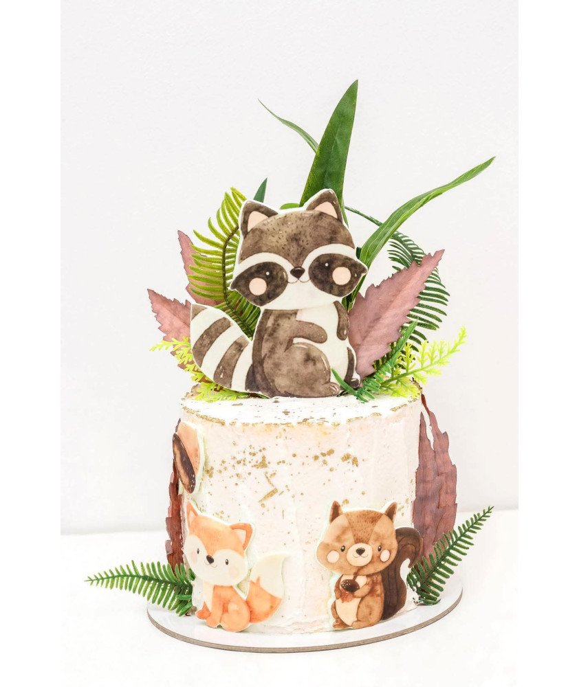 Bolo Branco Animais Guaxinim